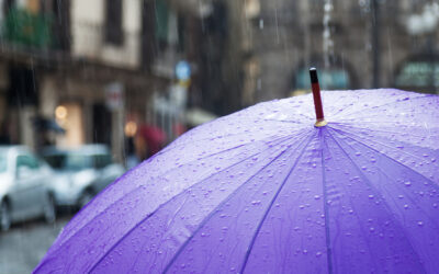 Rainy Day Fund: Helping Employees Weather Financial Uncertainty